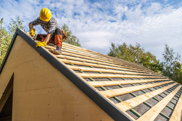 Best Metal Roofing Contractor  in Round Lake Heights, IL